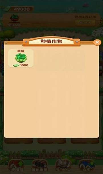 我家小院儿图3