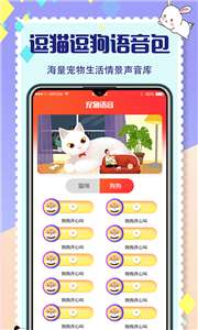猫狗交流器图2