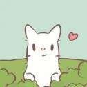 猫咪和汤官方正版
