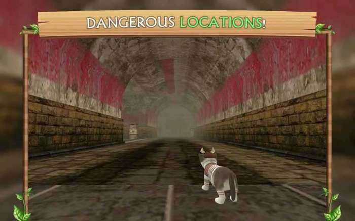 猫咪生存模拟器无限金币版图3