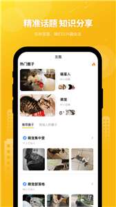 友猫图1