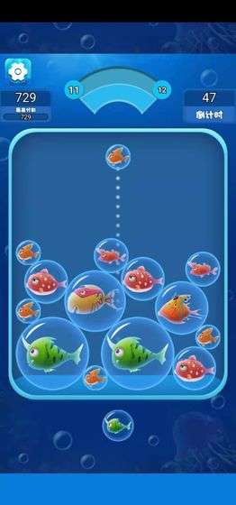 海洋泡泡鱼图5
