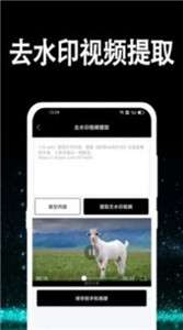 视频水印处理图2
