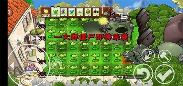植物大战僵尸qf支线触控版图1