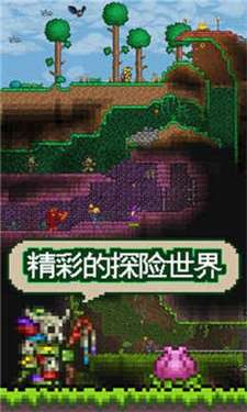 泰拉瑞亚1.4自带存档版图3