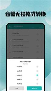 格式转换大师图3