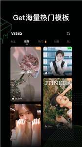 Vieka图3