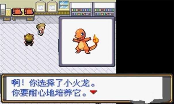 口袋妖怪全随机神兽版图2