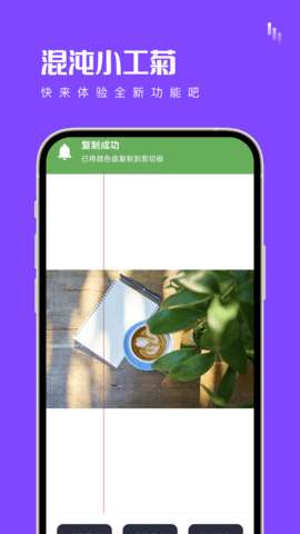 混沌小工菊图4