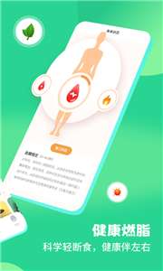 怪兽轻断食图3