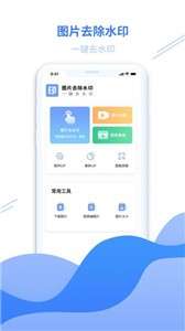 图片去水印专家图3