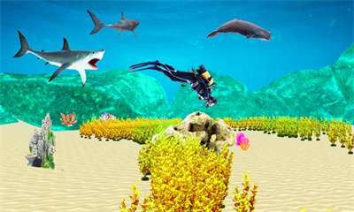 巨型鲨鱼3dMegaSharks3d图2
