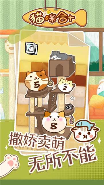猫咪合十图2