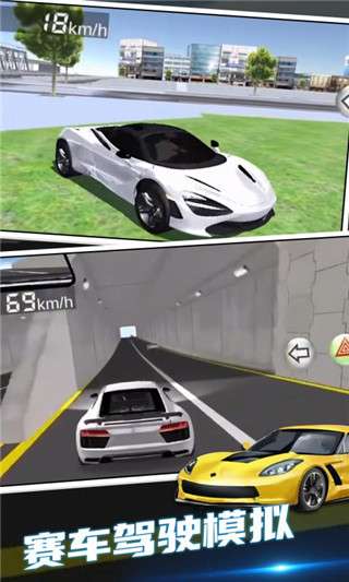 3d驾驶模拟器解锁全部车辆图2