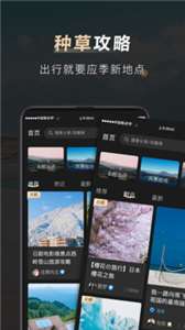 他陪旅行图3