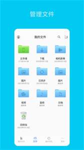 猫头鹰文件图3