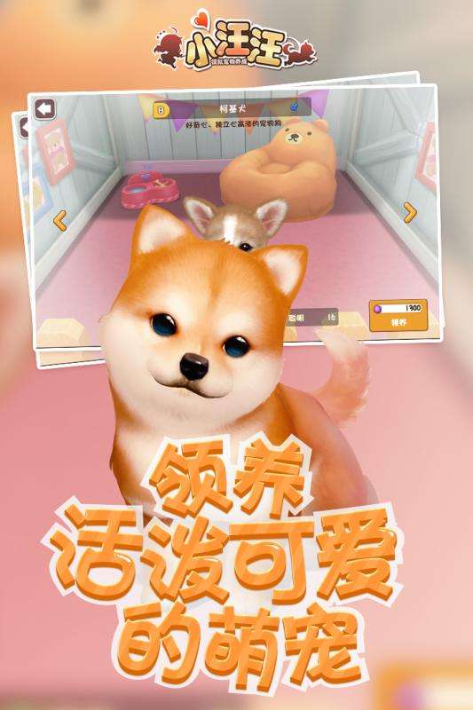 小汪汪图4