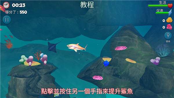 双头鲨图1