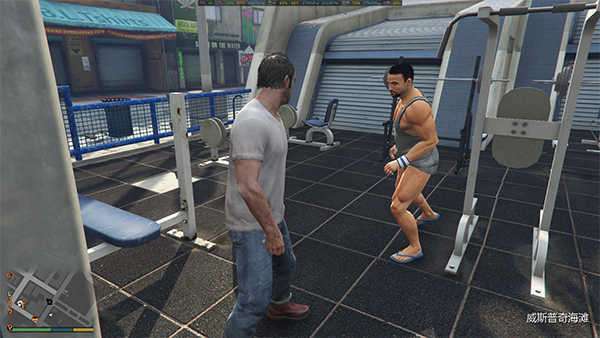 grand theft auto v官方版图1