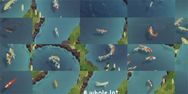 锦鲤农场图1
