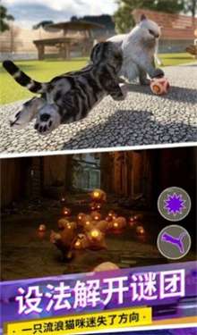 猫咪城市模拟器图3