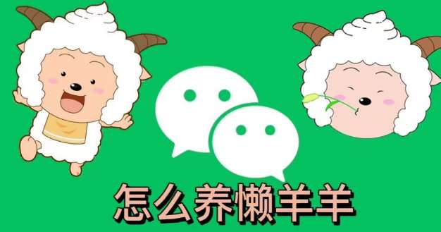 微信状态养懒羊羊方法
