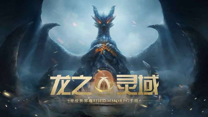 龙之灵域图1