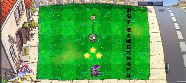 pvz割绳子图2
