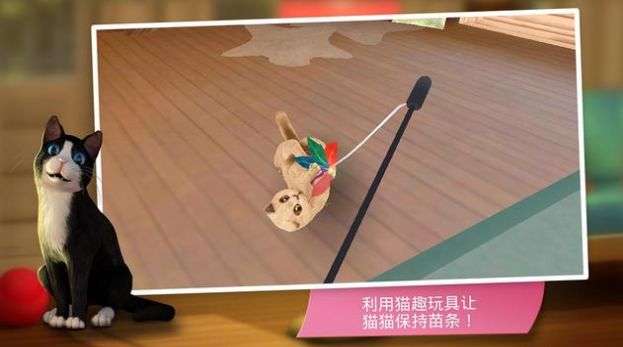 猫咪旅店图2