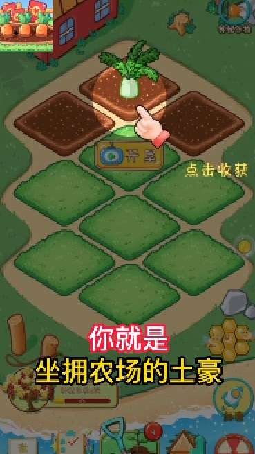 福运农场图2