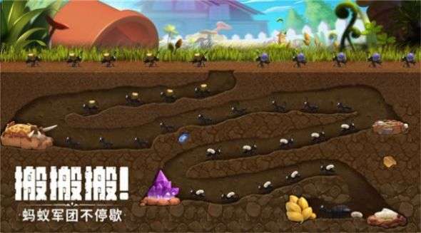 机智的小动物图3