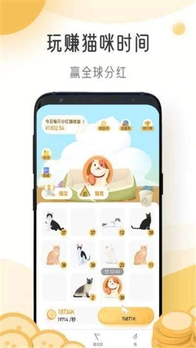 猫咪时间图2