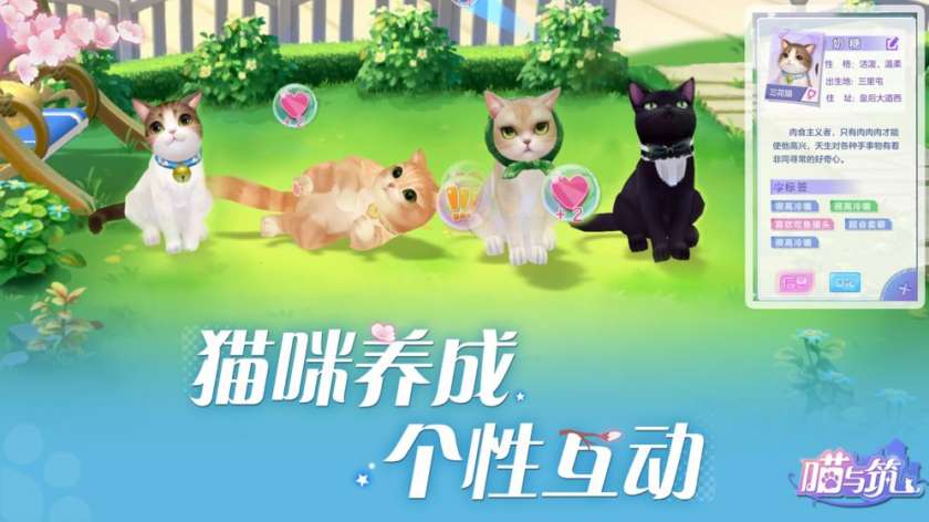 喵与筑手游图4