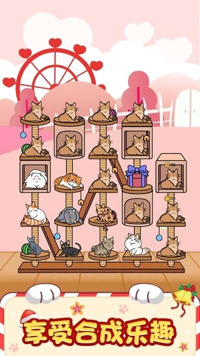 猫咪旅行家图3
