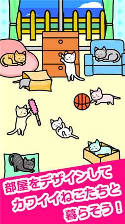 猫猫生活图2