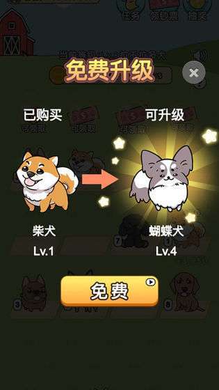 我的狗狗图2