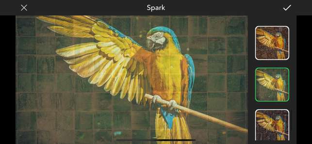 Spark-最佳照片滤镜图2