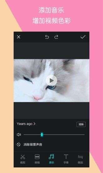 视频制作王图2