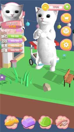 我家喵喵图4