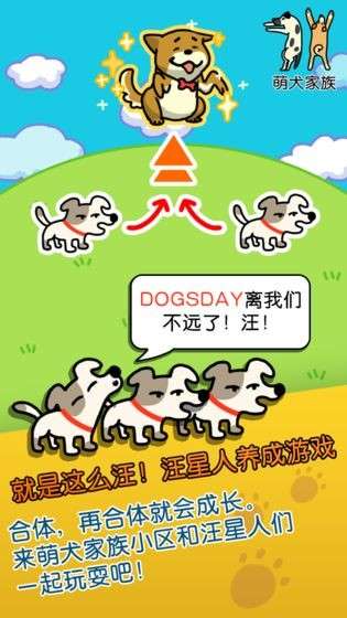 萌犬家族图4