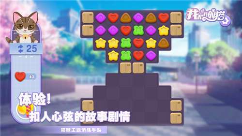 我和我的猫图3