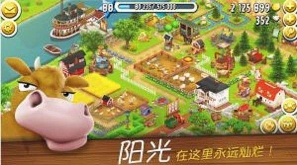 农场种菜图2