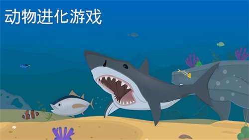 动物进化游戏混种孢子突变图2