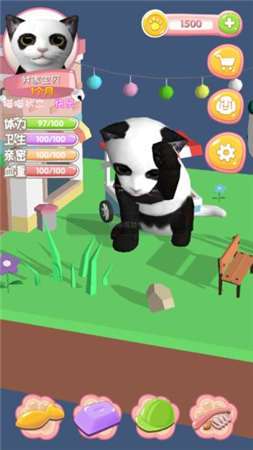 我家喵喵图2