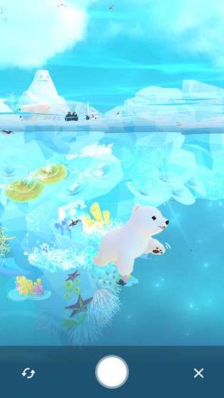 深海水族馆极地图7