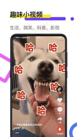 火萤视频壁纸图4