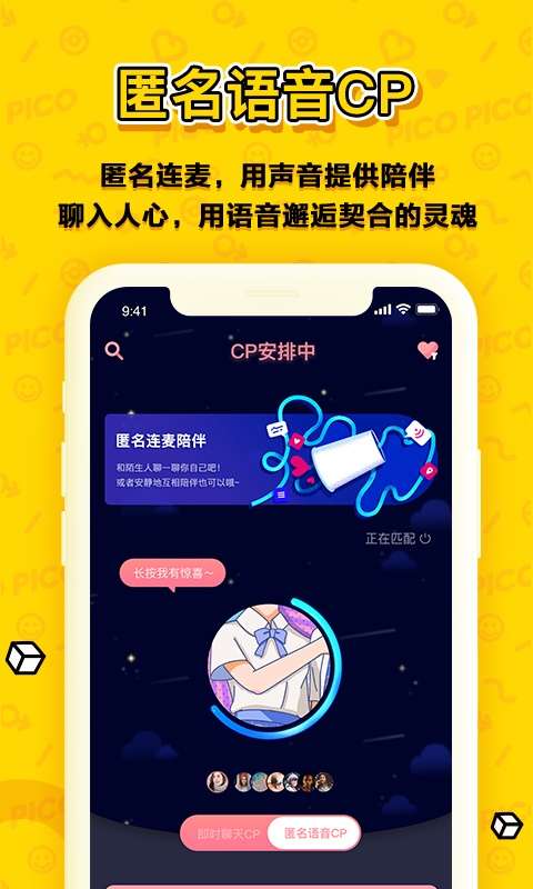 PicoPico图1