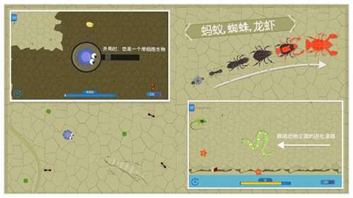 动物进化游戏混种孢子突变图4