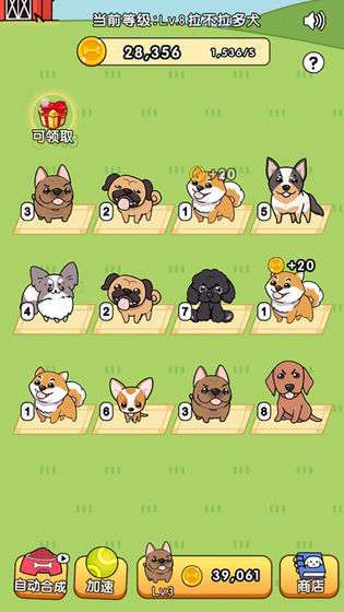 我的狗狗图1