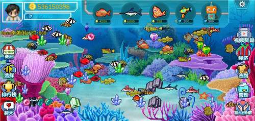 疯狂水族馆图4